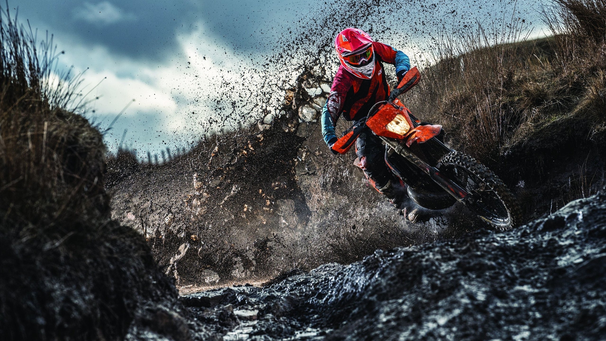 爱游戏体育科维托娃迎来十二赛季高光表现，澳大利亚队球迷沸腾！